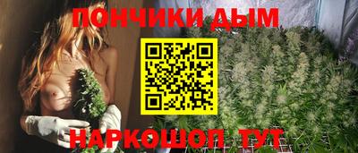 стаф Будённовск
