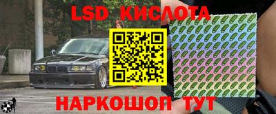 стаф Будённовск